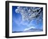 Mt. Fuji & Lake Yamanaka, Yamanashi, Japan-null-Framed Premium Photographic Print