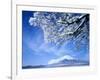 Mt. Fuji & Lake Yamanaka, Yamanashi, Japan-null-Framed Photographic Print