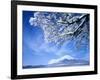 Mt. Fuji & Lake Yamanaka, Yamanashi, Japan-null-Framed Photographic Print