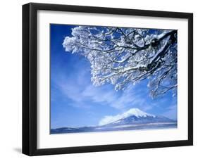 Mt. Fuji & Lake Yamanaka, Yamanashi, Japan-null-Framed Photographic Print