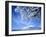 Mt. Fuji & Lake Yamanaka, Yamanashi, Japan-null-Framed Photographic Print