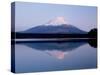 Mt. Fuji Reflected in the Lake Shoji-null-Stretched Canvas