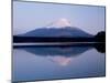 Mt. Fuji Reflected in the Lake Shoji-null-Mounted Photographic Print