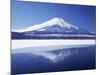 Mt. Fuji reflected in Yamanakako Lake at winter, Yamanashi Prefecture, Japan-null-Mounted Photographic Print