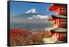 Mt. Fuji Viewed From Behind Chureito Pagoda-SeanPavonePhoto-Framed Stretched Canvas