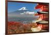 Mt. Fuji Viewed From Behind Chureito Pagoda-SeanPavonePhoto-Framed Art Print