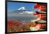 Mt. Fuji Viewed From Behind Chureito Pagoda-SeanPavonePhoto-Framed Art Print