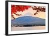 Mt. Fuji with Fall Colors in Japan in the Late Afternoon.-SeanPavonePhoto-Framed Photographic Print