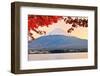 Mt. Fuji with Fall Colors in Japan in the Late Afternoon.-SeanPavonePhoto-Framed Photographic Print