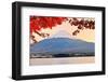 Mt. Fuji with Fall Colors in Japan in the Late Afternoon.-SeanPavonePhoto-Framed Photographic Print