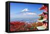 Mt. Fuji with Fall Colors in Japan.-SeanPavonePhoto-Framed Stretched Canvas