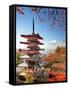 Mt. Fuji with Fall Colors in Japan.-SeanPavonePhoto-Framed Stretched Canvas