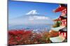 Mt. Fuji with Fall Colors in Japan.-SeanPavonePhoto-Mounted Photographic Print