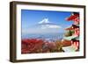 Mt. Fuji with Fall Colors in Japan.-SeanPavonePhoto-Framed Photographic Print