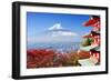 Mt. Fuji with Fall Colors in Japan.-SeanPavonePhoto-Framed Photographic Print