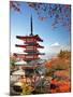 Mt. Fuji with Fall Colors in Japan.-SeanPavonePhoto-Mounted Photographic Print