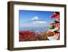 Mt. Fuji with Fall Colors in Japan.-Sean Pavone-Framed Photographic Print