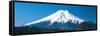 Mt Fuji Yamanashi Japan-null-Framed Stretched Canvas