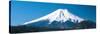 Mt Fuji Yamanashi Japan-null-Stretched Canvas