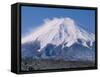 Mt. Fuji-null-Framed Stretched Canvas