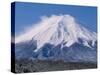 Mt. Fuji-null-Stretched Canvas