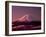 Mt. Fuji-null-Framed Photographic Print