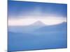 Mt. Fuji-null-Mounted Photographic Print