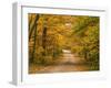 Mt. Greylock Reservation, Massachusetts, USA-Demetrio Carrasco-Framed Photographic Print