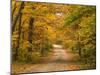 Mt. Greylock Reservation, Massachusetts, USA-Demetrio Carrasco-Mounted Photographic Print