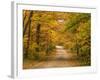 Mt. Greylock Reservation, Massachusetts, USA-Demetrio Carrasco-Framed Photographic Print