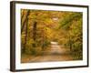 Mt. Greylock Reservation, Massachusetts, USA-Demetrio Carrasco-Framed Photographic Print