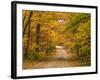 Mt. Greylock Reservation, Massachusetts, USA-Demetrio Carrasco-Framed Photographic Print