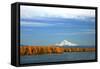 Mt. Hood and Columbia River-Steve Terrill-Framed Stretched Canvas