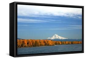 Mt. Hood and Columbia River-Steve Terrill-Framed Stretched Canvas