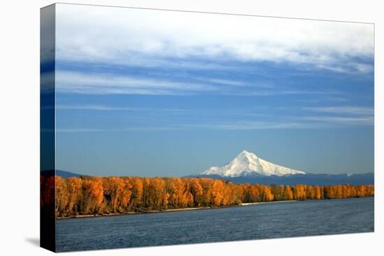 Mt. Hood and Columbia River-Steve Terrill-Stretched Canvas