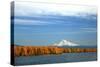 Mt. Hood and Columbia River-Steve Terrill-Stretched Canvas