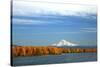 Mt. Hood and Columbia River-Steve Terrill-Stretched Canvas