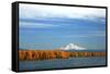 Mt. Hood and Columbia River-Steve Terrill-Framed Stretched Canvas