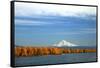 Mt. Hood and Columbia River-Steve Terrill-Framed Stretched Canvas