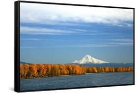 Mt. Hood and Columbia River-Steve Terrill-Framed Stretched Canvas