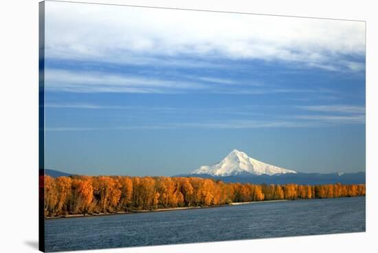 Mt. Hood and Columbia River-Steve Terrill-Stretched Canvas
