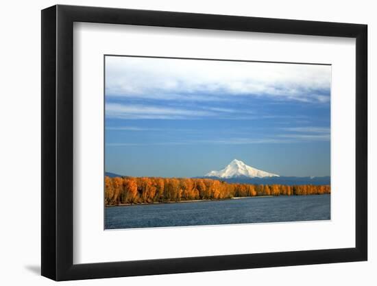 Mt. Hood and Columbia River-Steve Terrill-Framed Premium Photographic Print