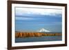 Mt. Hood and Columbia River-Steve Terrill-Framed Photographic Print