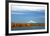 Mt. Hood and Columbia River-Steve Terrill-Framed Photographic Print