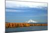 Mt. Hood and Columbia River-Steve Terrill-Mounted Photographic Print