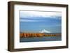 Mt. Hood and Columbia River-Steve Terrill-Framed Photographic Print