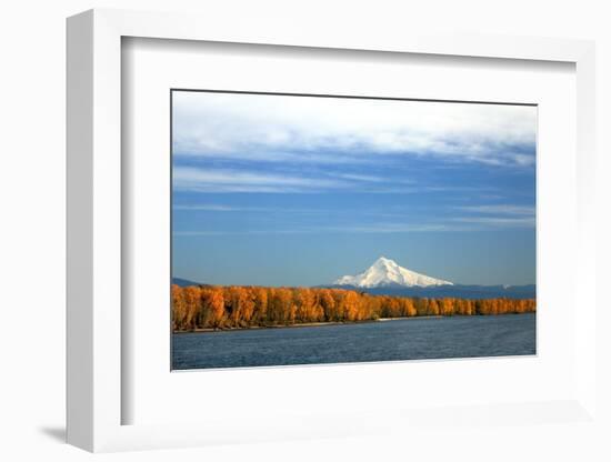 Mt. Hood and Columbia River-Steve Terrill-Framed Photographic Print