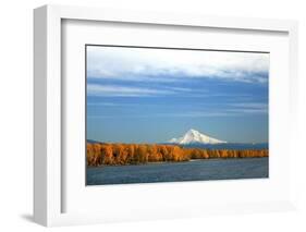 Mt. Hood and Columbia River-Steve Terrill-Framed Photographic Print