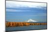 Mt. Hood and Columbia River-Steve Terrill-Mounted Photographic Print
