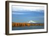 Mt. Hood and Columbia River-Steve Terrill-Framed Photographic Print